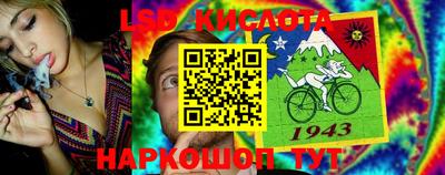 дживик Малгобек
