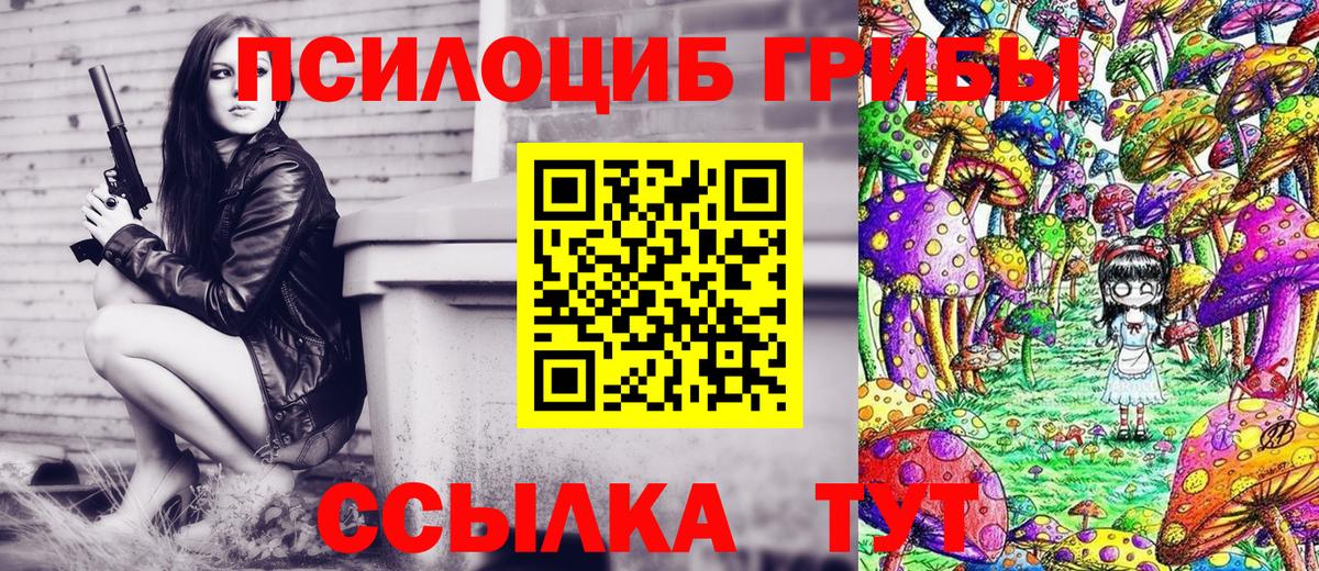Тайшет  Псилоцибиновые грибы MAGIC MUSHROOMS  Псилоцибиновые грибы GOLDEN TEACHER  Вход с VPN 