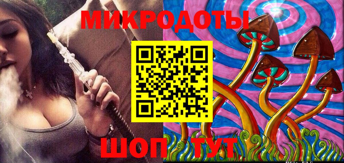 Галлюциногенные грибы Psilocybe Тайшет